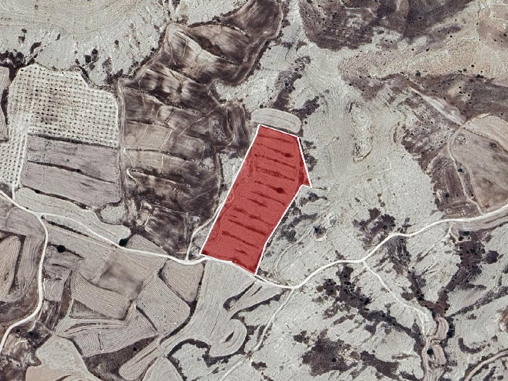 Field-Aradippou-PR45281