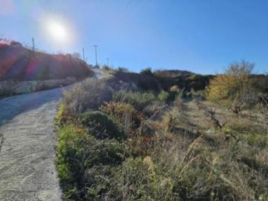 Field - Lemona, Paphos