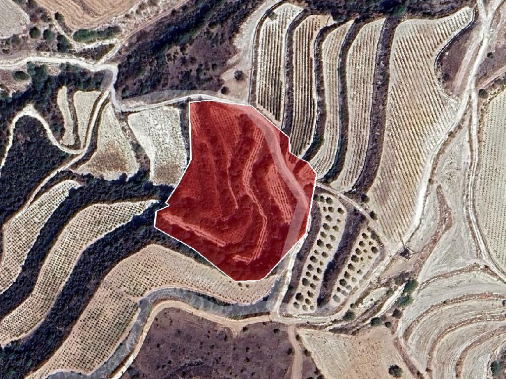 Field - Lemona, Paphos