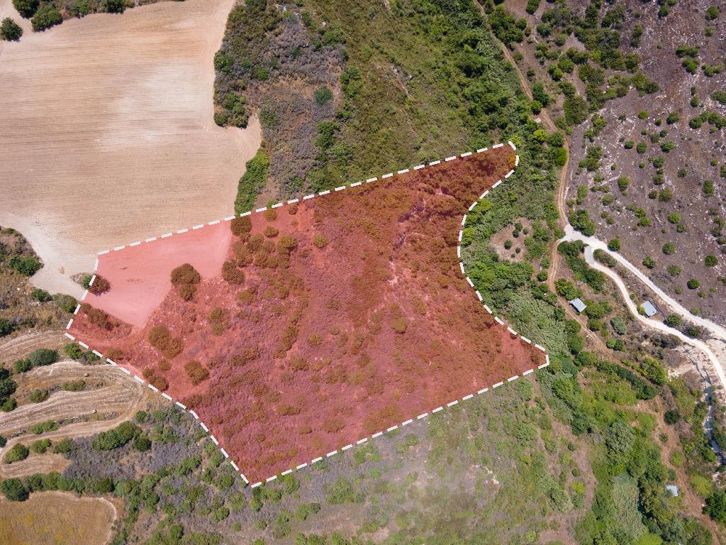 Field-Kritou Terra-PR34210