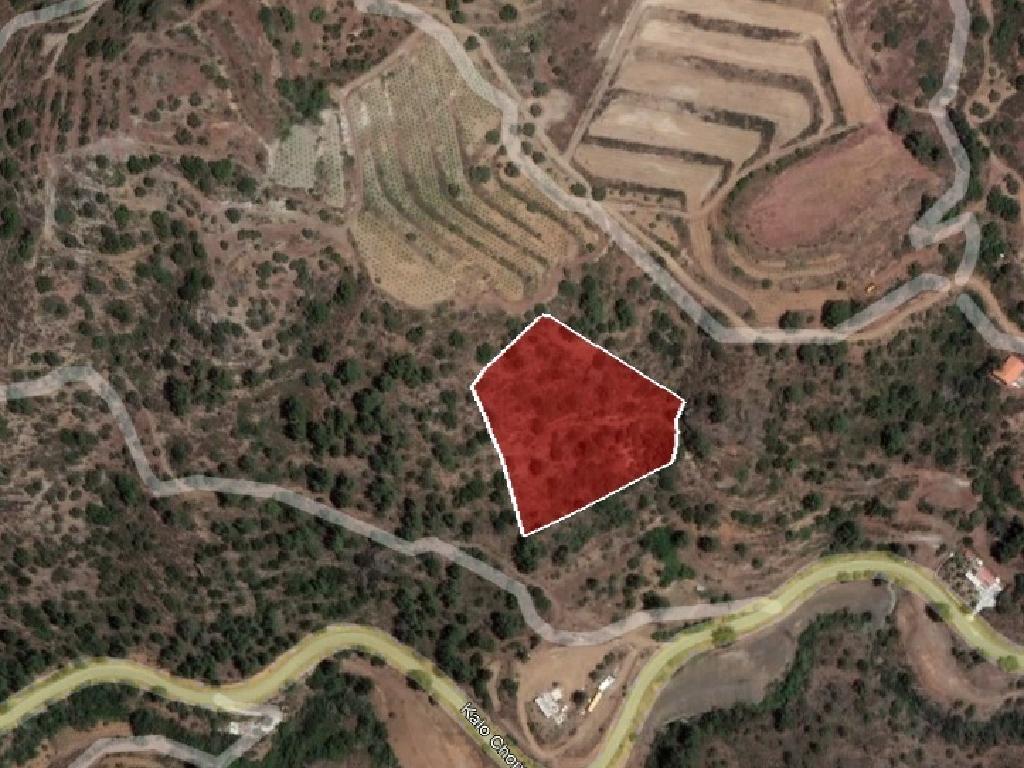 Field-Kalo Chorio-PR35931