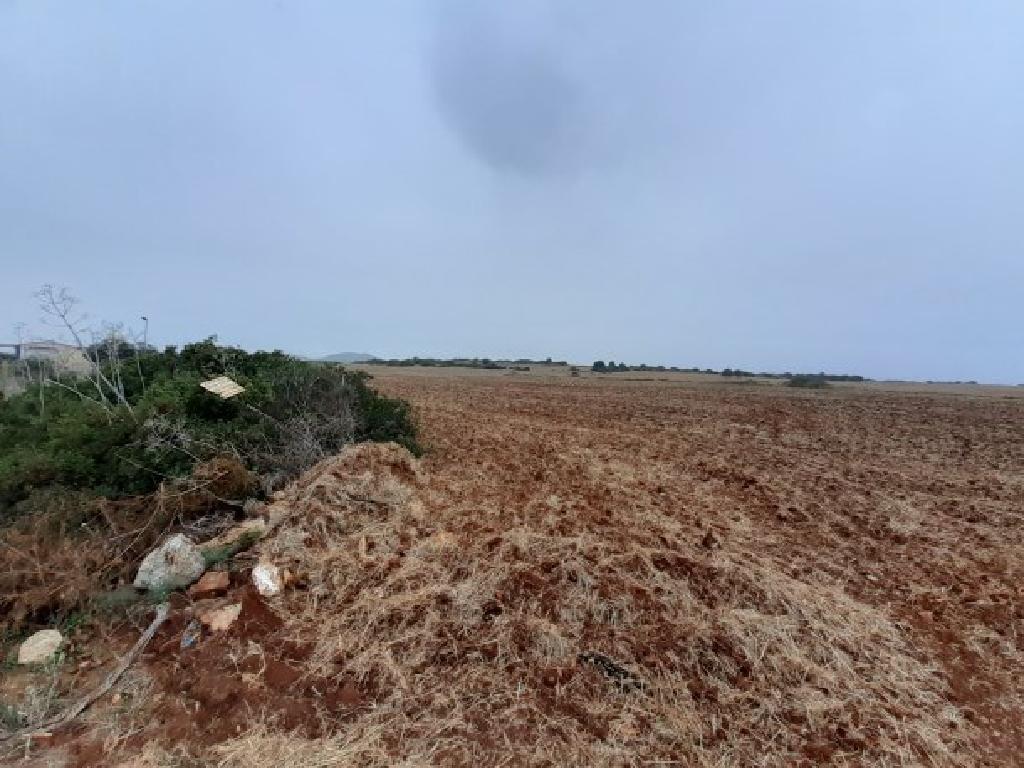 Field (Share) - Agios Theodoros, Larnaca