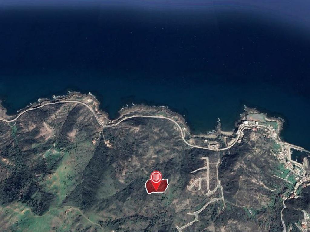 Field-Pigenia-PR37423