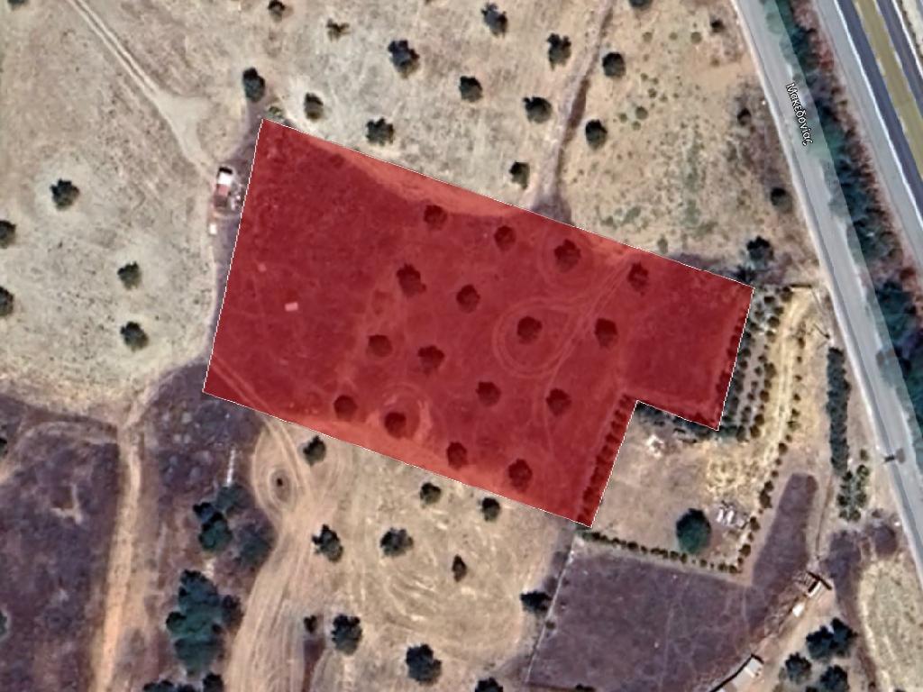 Field-Latsia-PR37636