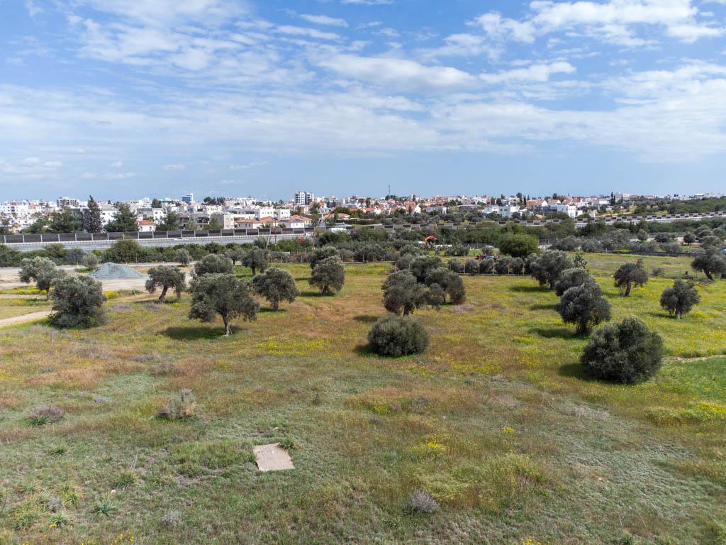 Field-Latsia-PR37636