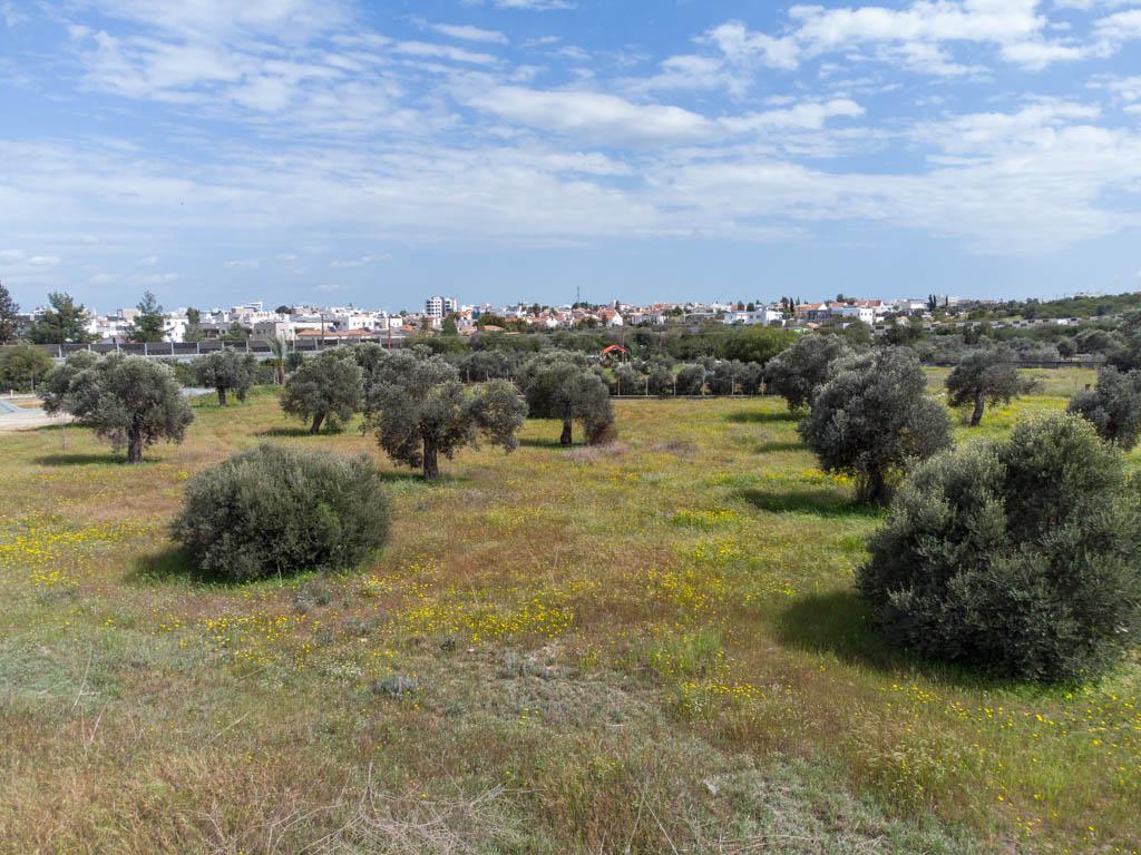 Field-Latsia-PR37636