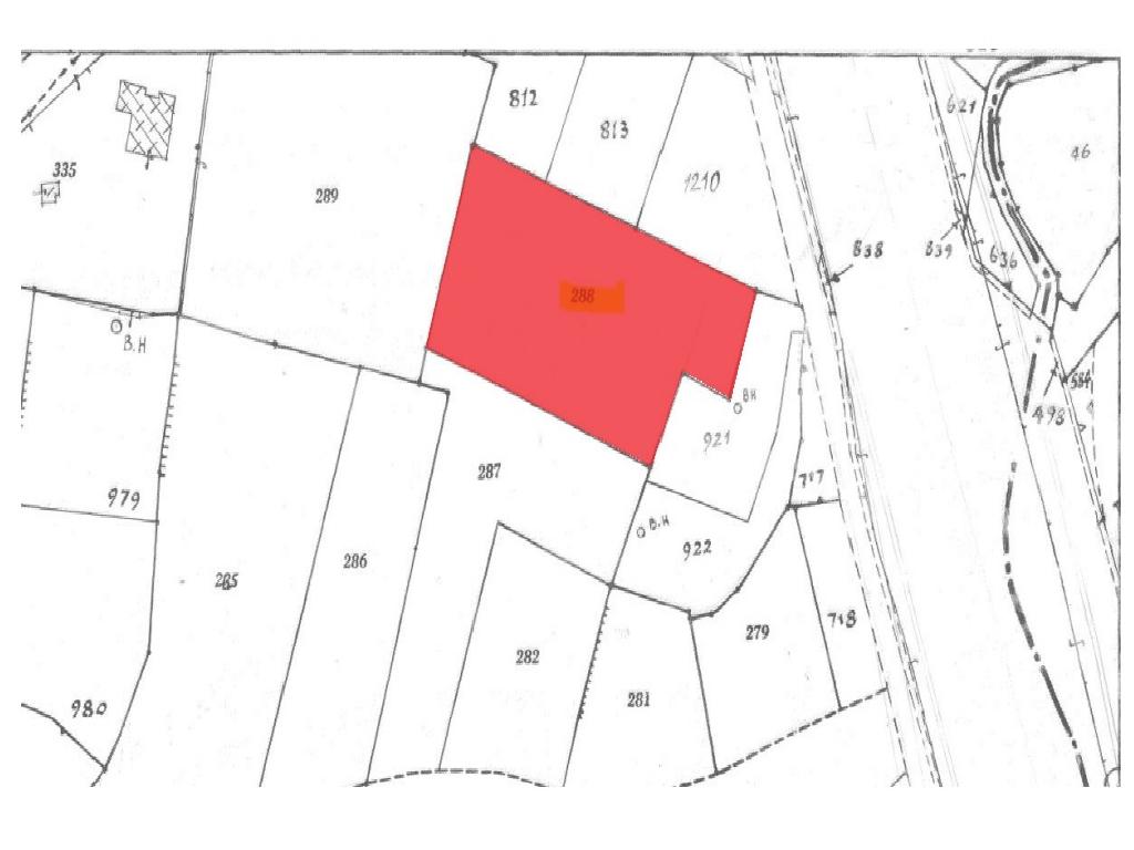Field-Latsia-PR37636