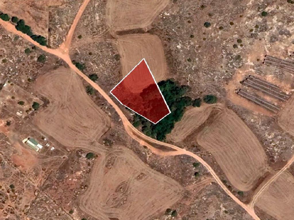 Field-Paralimni-PR37749
