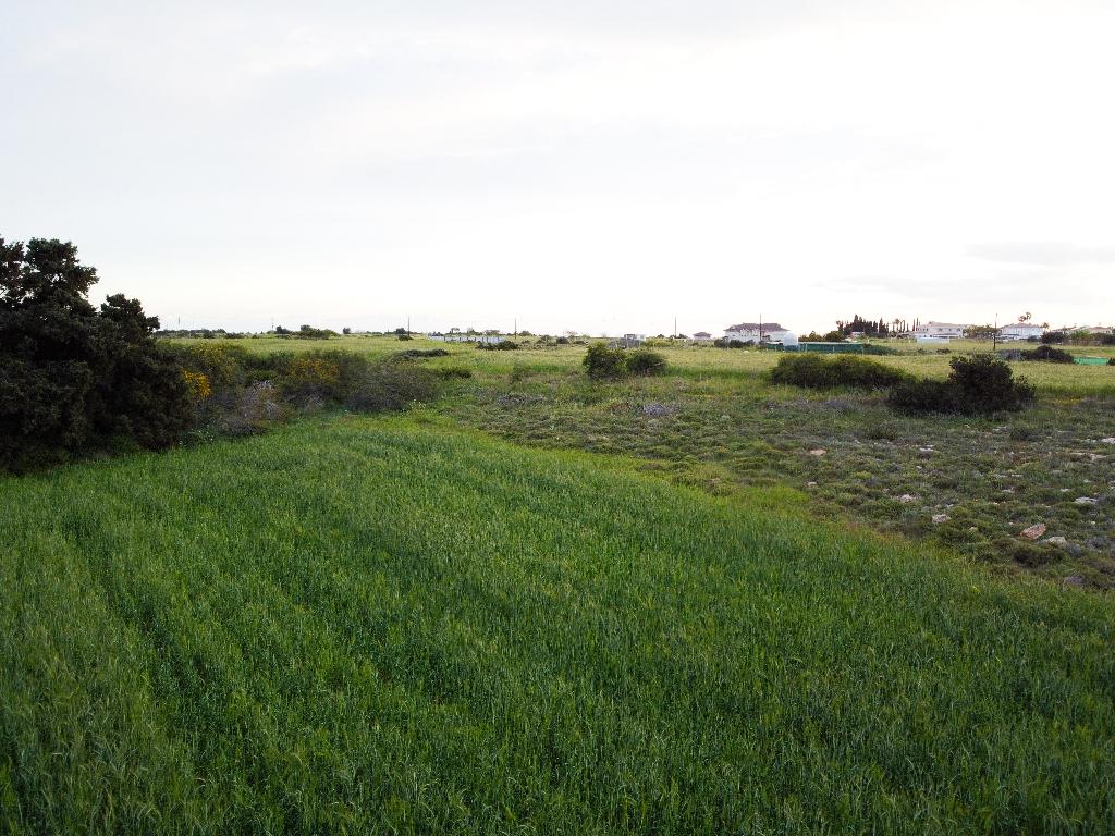 Field (Share) - Paralimni, Famagusta