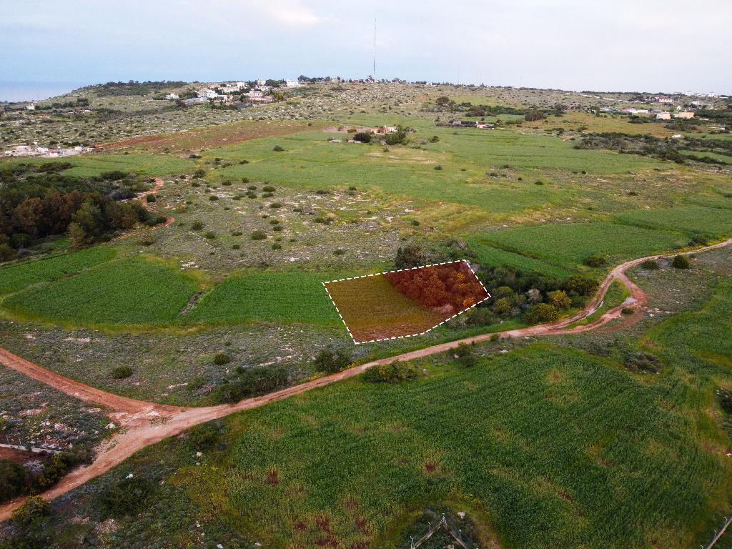 Field (Share) - Paralimni, Famagusta