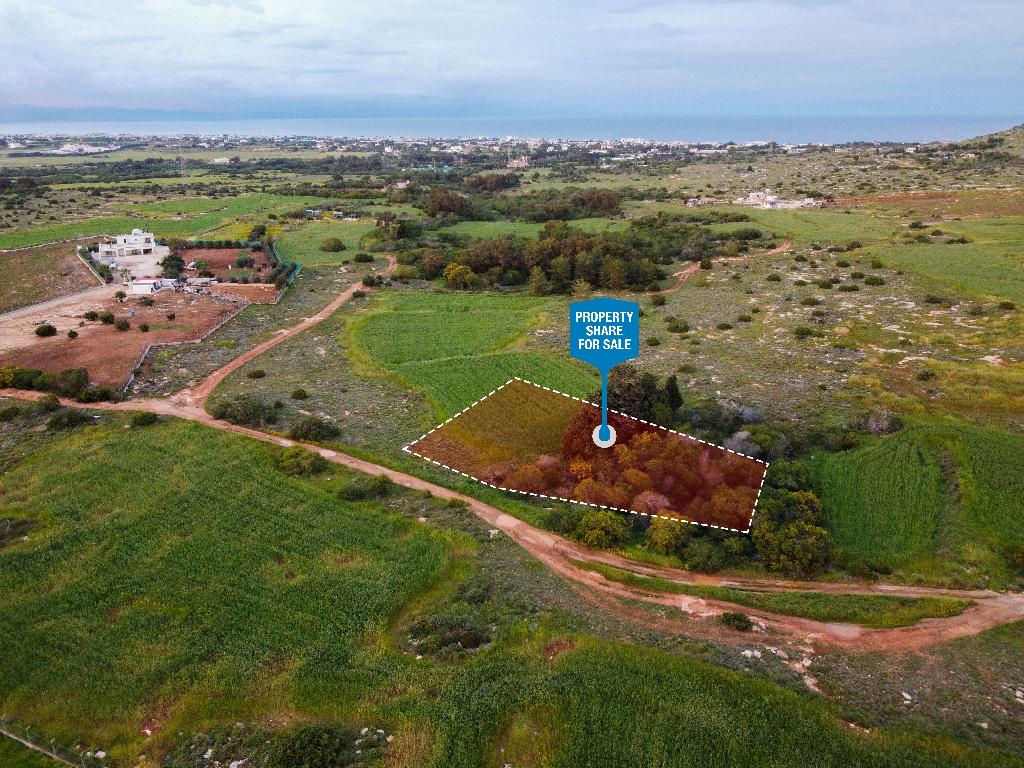 Field (Share) - Paralimni, Famagusta