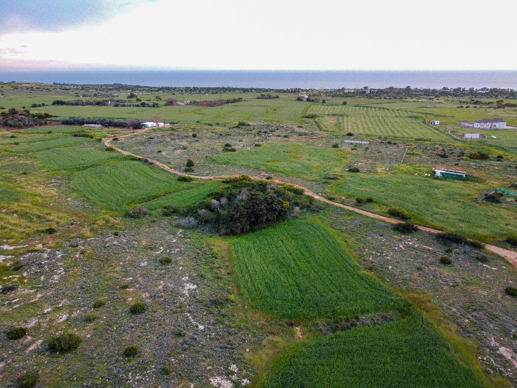 Field (Share) - Paralimni, Famagusta