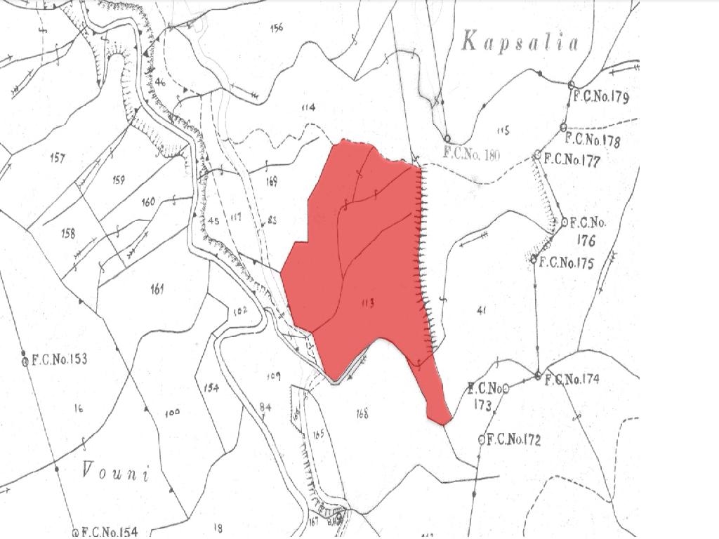 Field-Agios Theodoros (Soleas)-PR39357