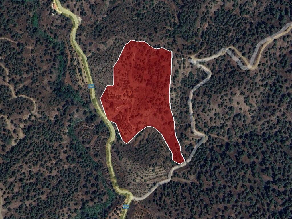 Field-Agios Theodoros (Soleas)-PR39357