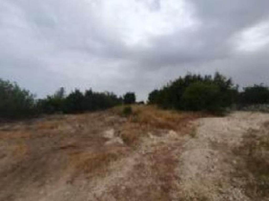 Field - Lysos, Paphos