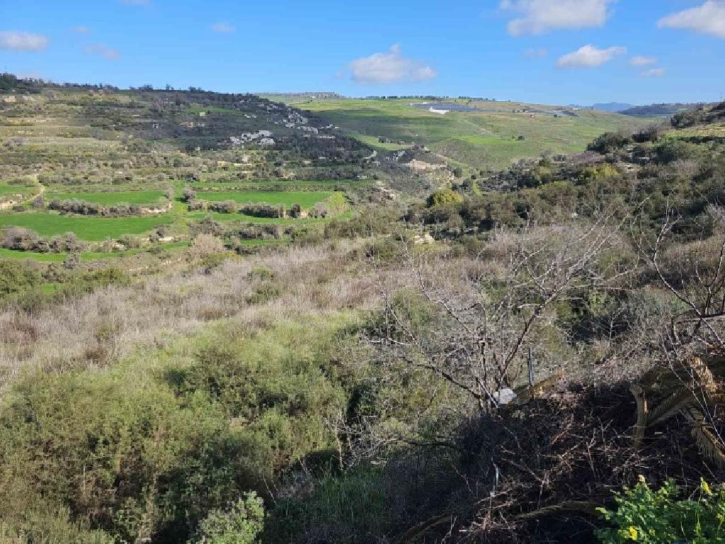 Field - Polemi, Paphos