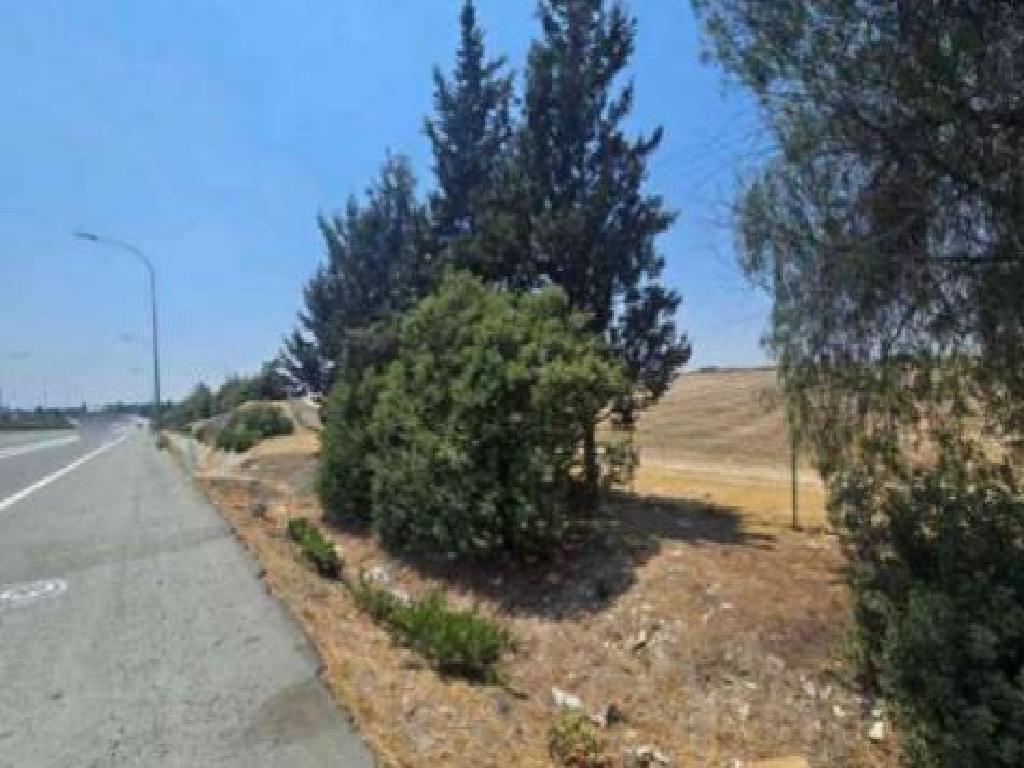 Field (Share) - Aradippou, Larnaca