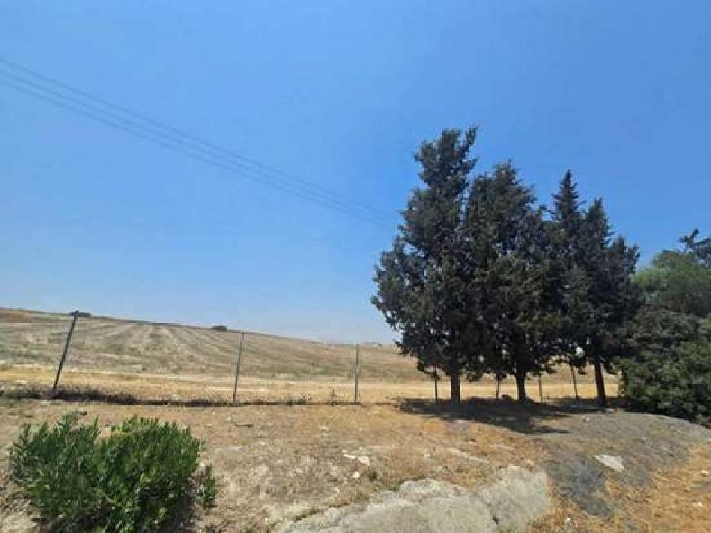 Field (Share) - Aradippou, Larnaca