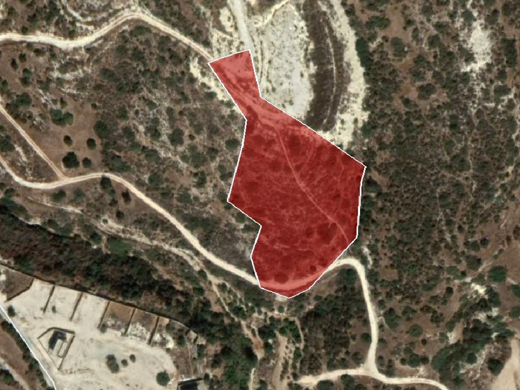 Field-Agios Tychon-PR32899