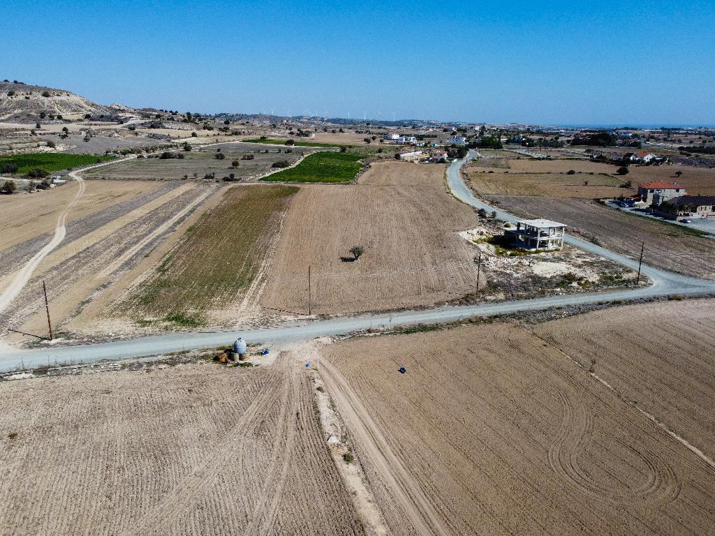 Field-Anafotida-PR32046