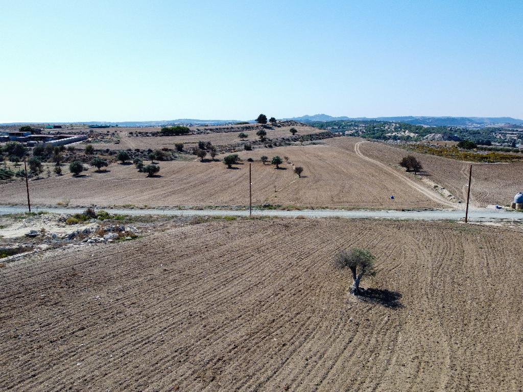 Field-Anafotida-PR32046