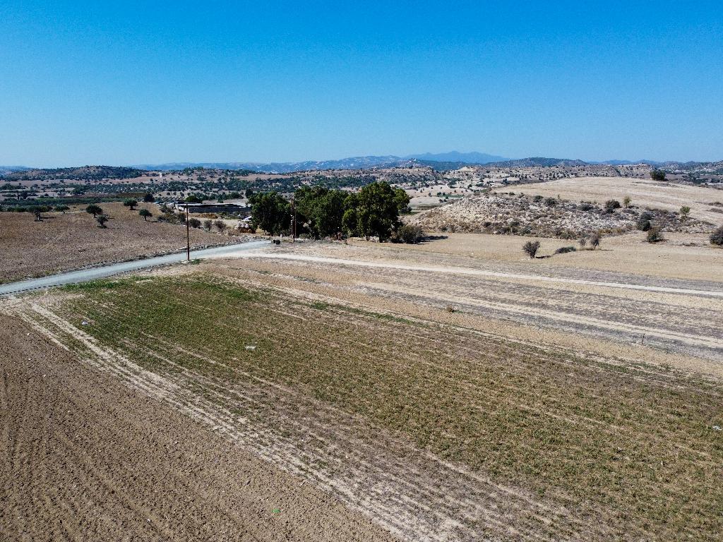Field-Anafotida-PR32046