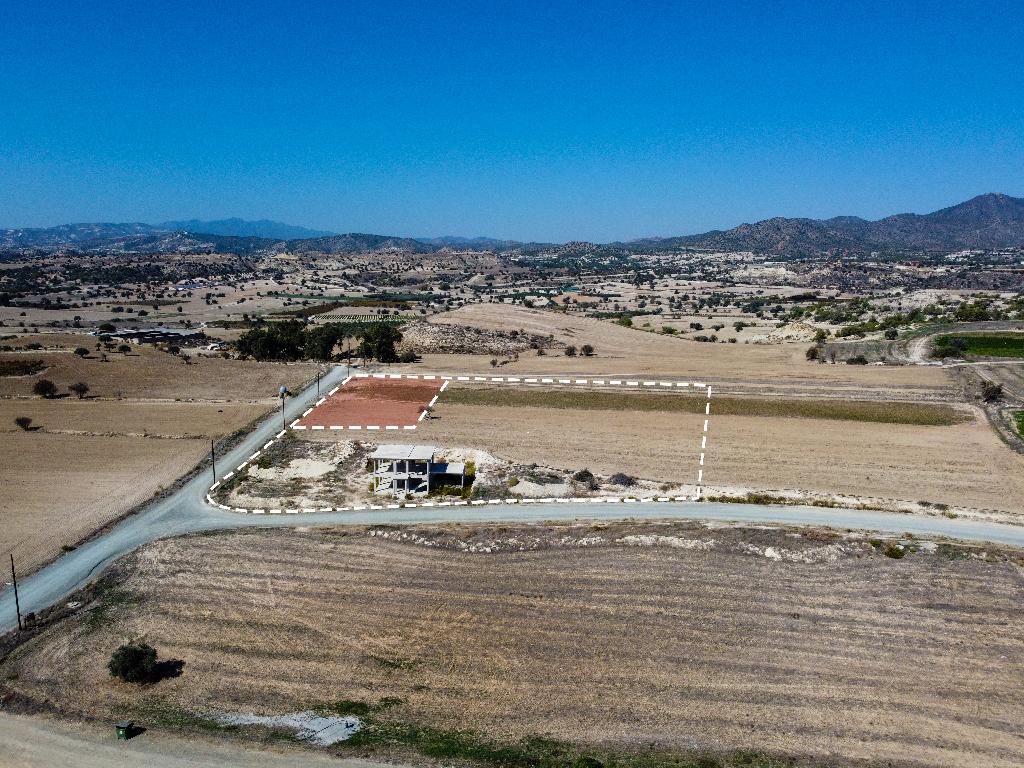 Field-Anafotida-PR32046