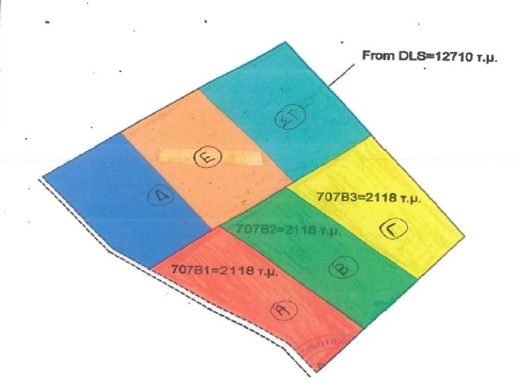 Field-Anafotida-PR32046