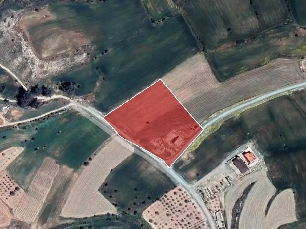 Field-Anafotida-PR32046