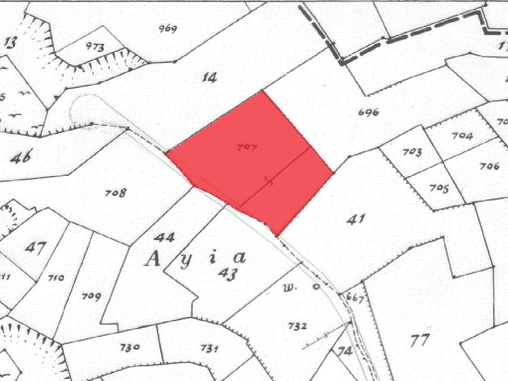 Field-Anafotida-PR32046