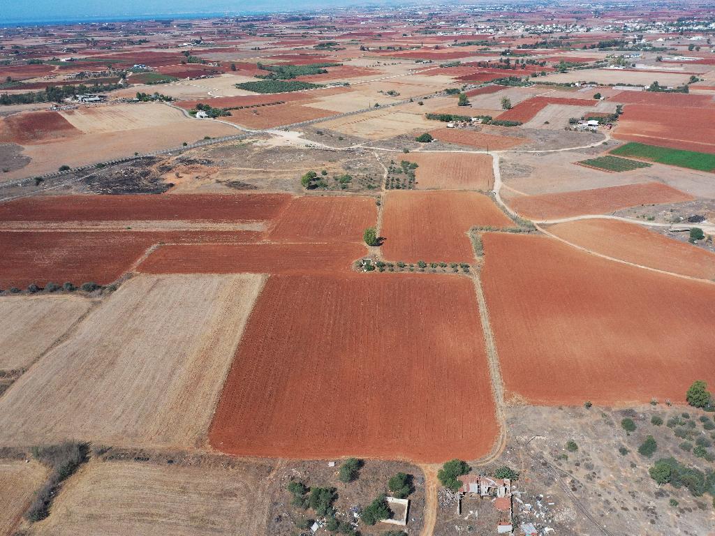 Field-Avgorou-PR32034