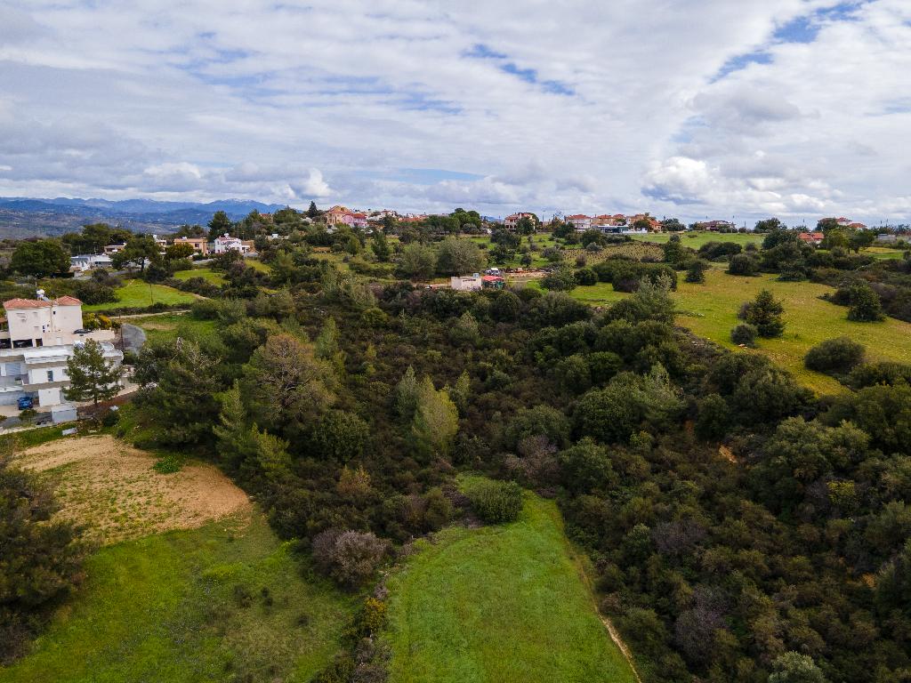Field (Share) - Pano Kivides, Limassol