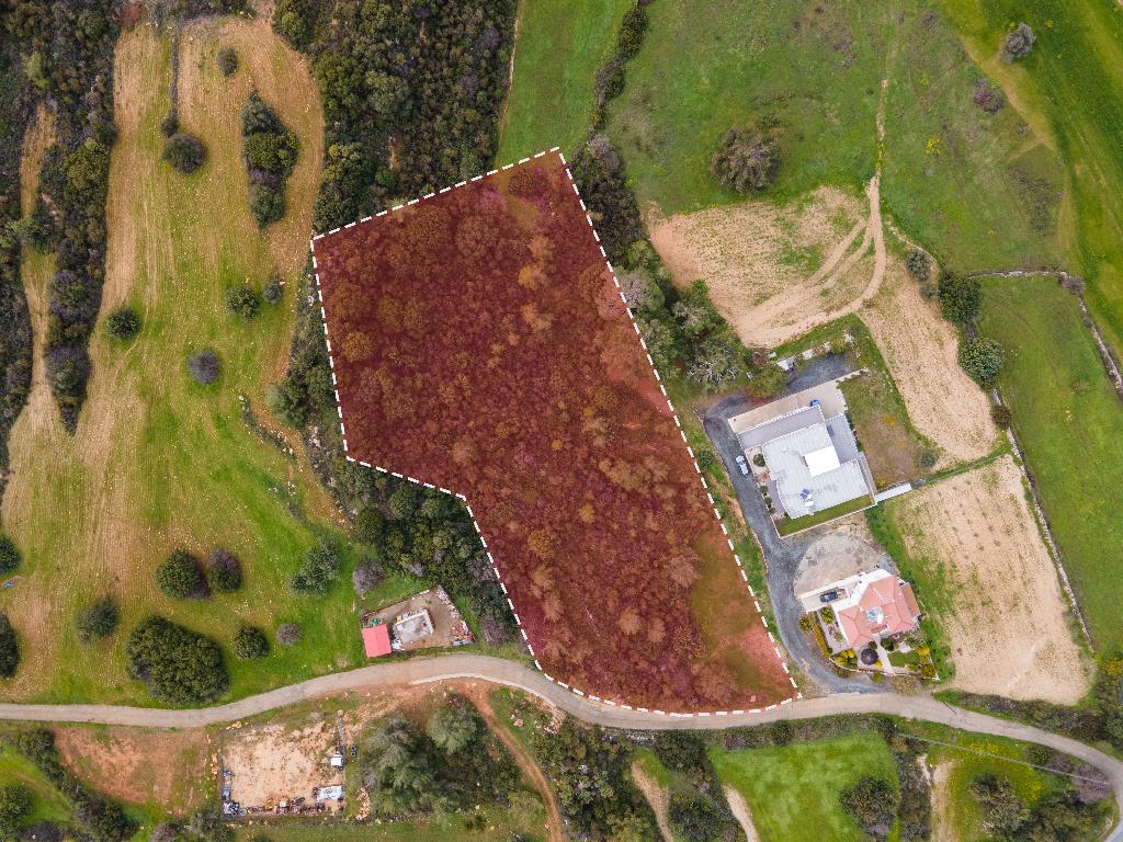 Field (Share) - Pano Kivides, Limassol