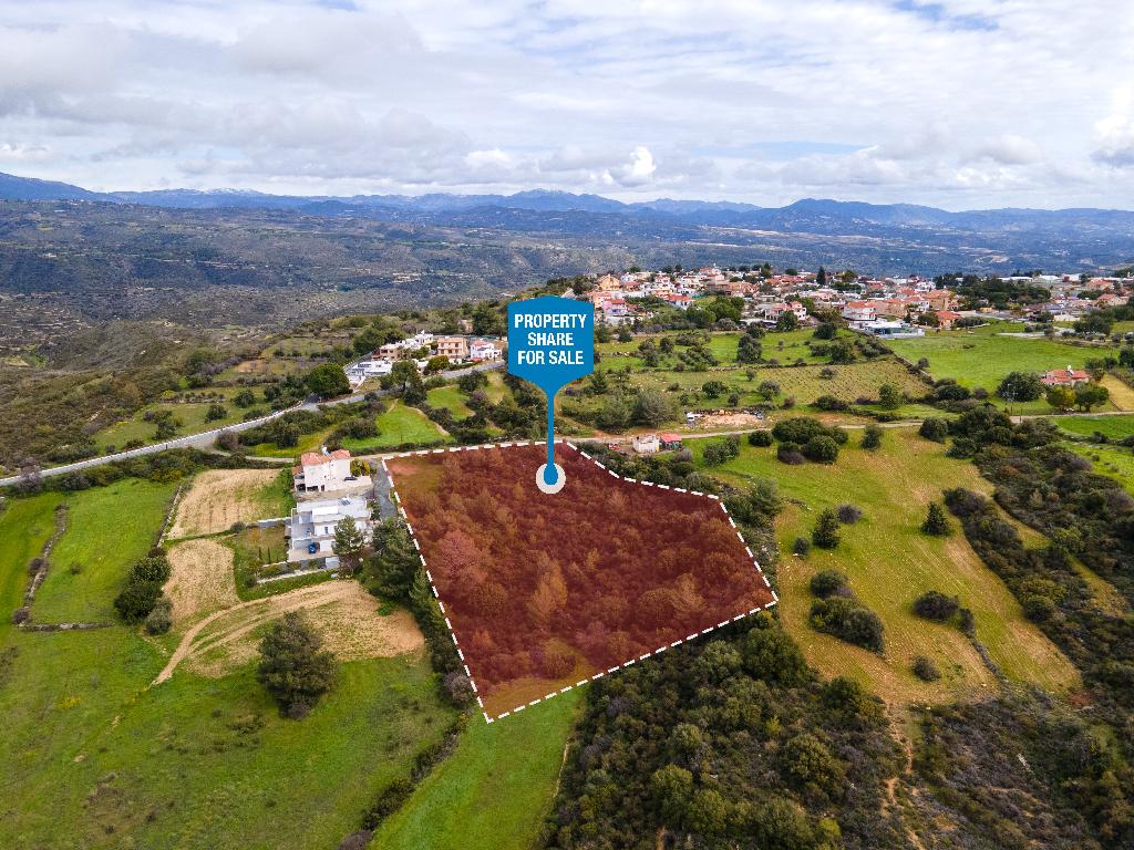 Field (Share) - Pano Kivides, Limassol