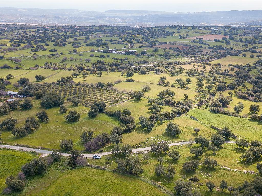 Field-Anogira-PR35083