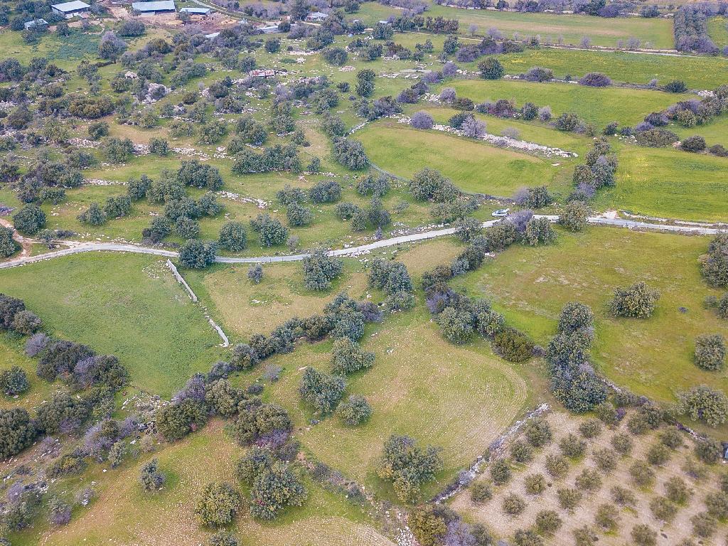 Field-Anogira-PR35083