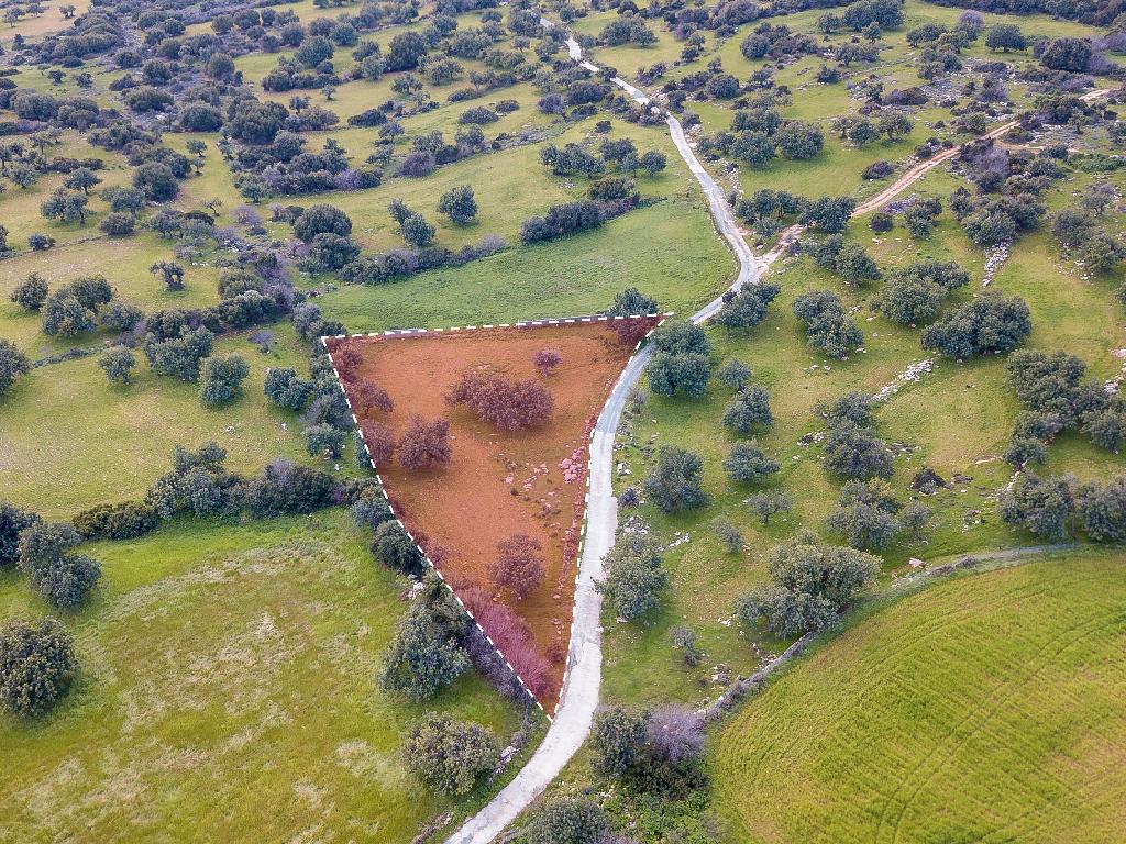 Field-Anogira-PR35083
