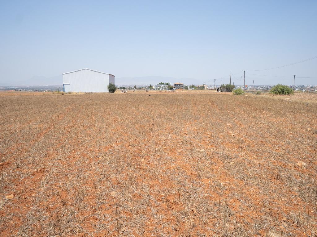 Field-Paleometocho-PR35964