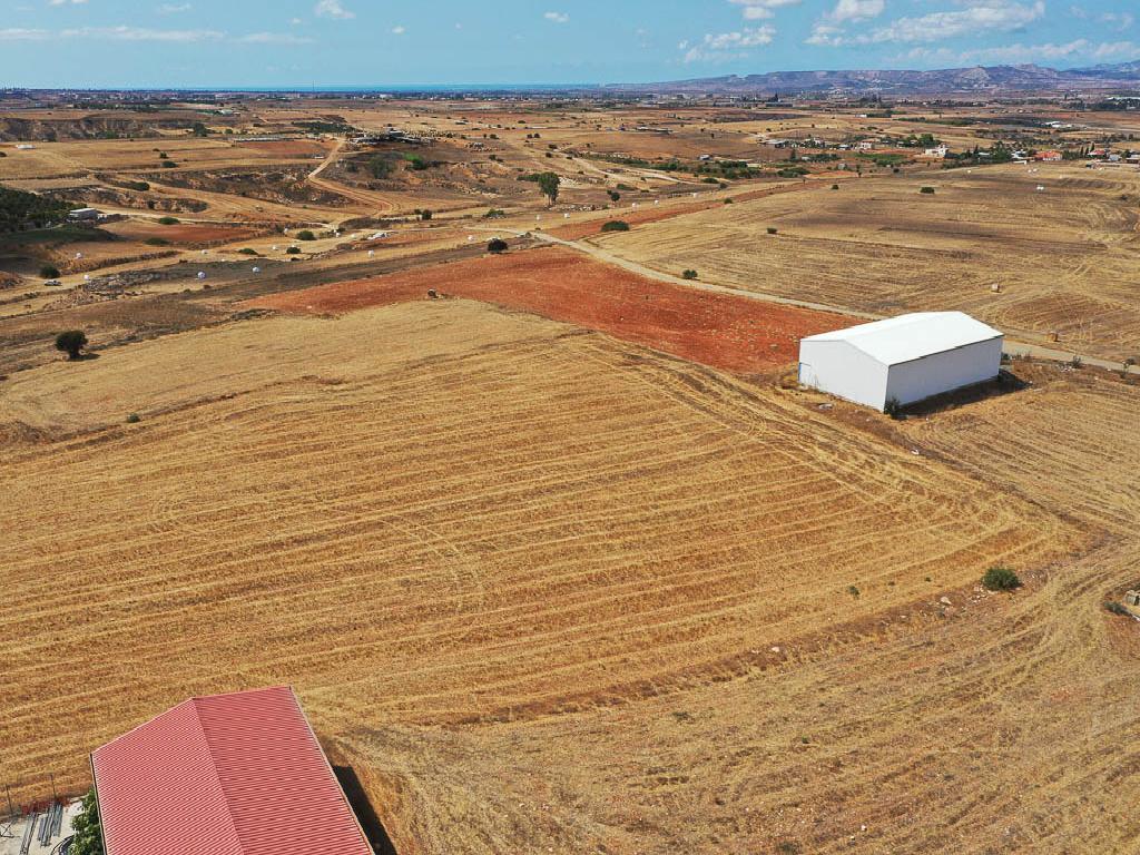 Field-Paleometocho-PR35964