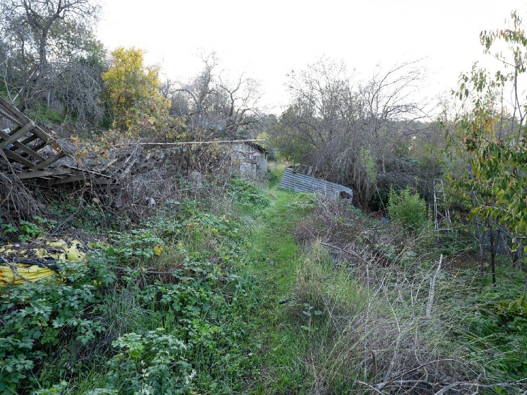 Field-Temvria-PR36319