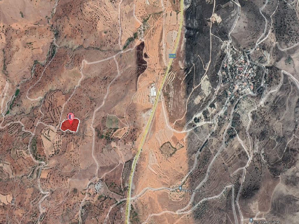 Field-Pentalia-PR38364