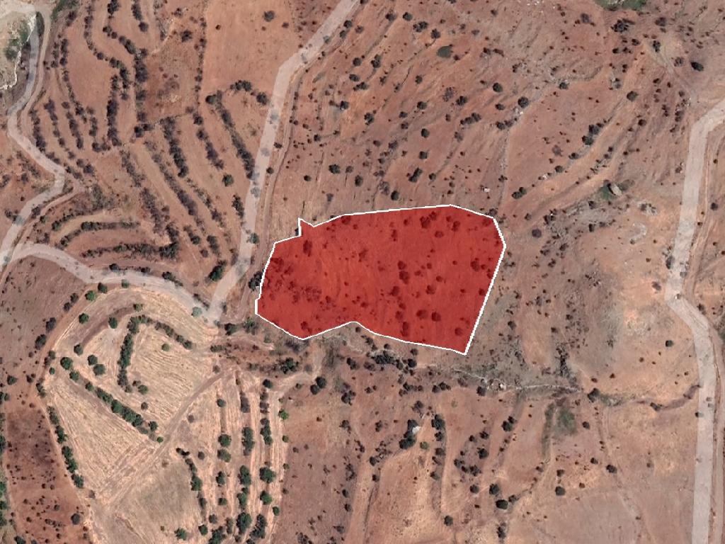 Field-Pentalia-PR38364