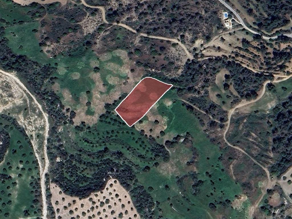 Field-Peristerona-PR39440