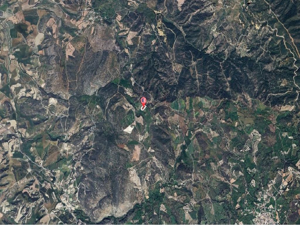 Field-Peristerona-PR39440