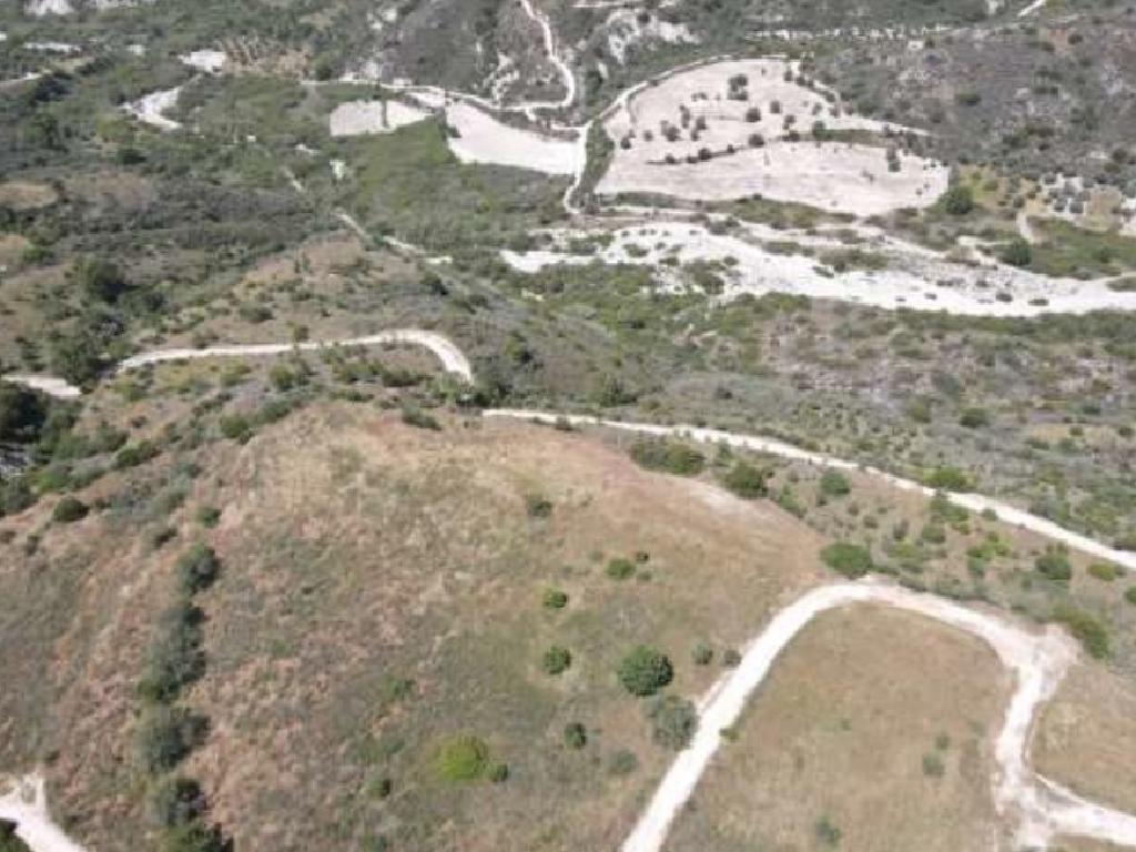 Field-Kedares-PR40449