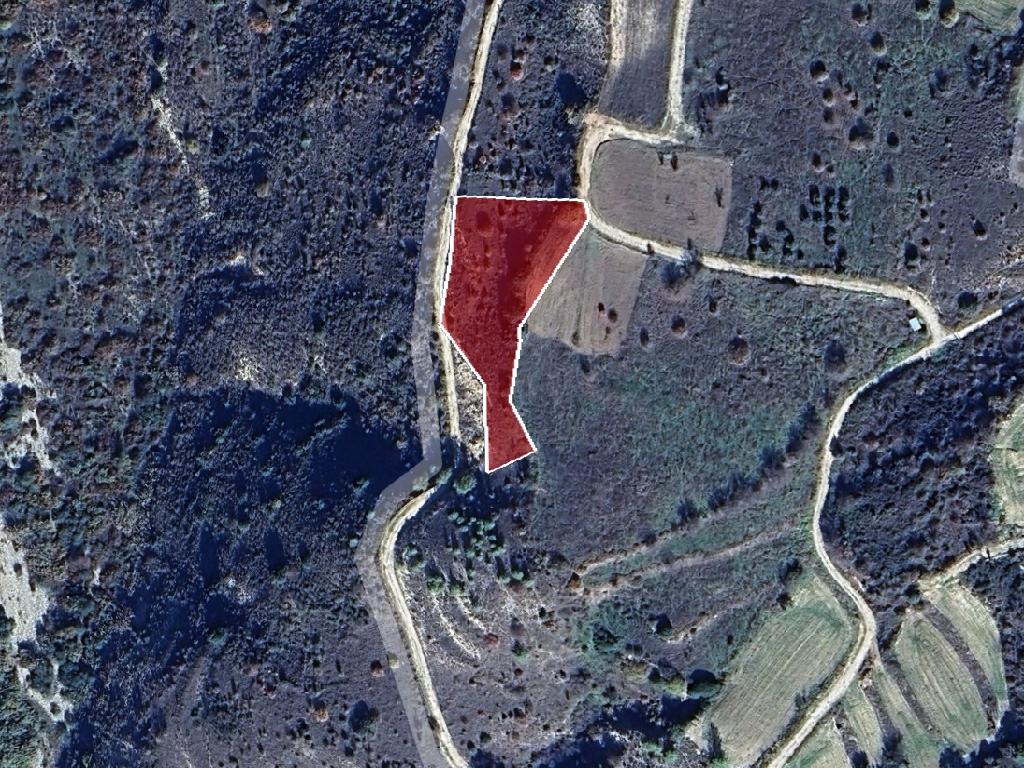 Field-Kedares-PR40449