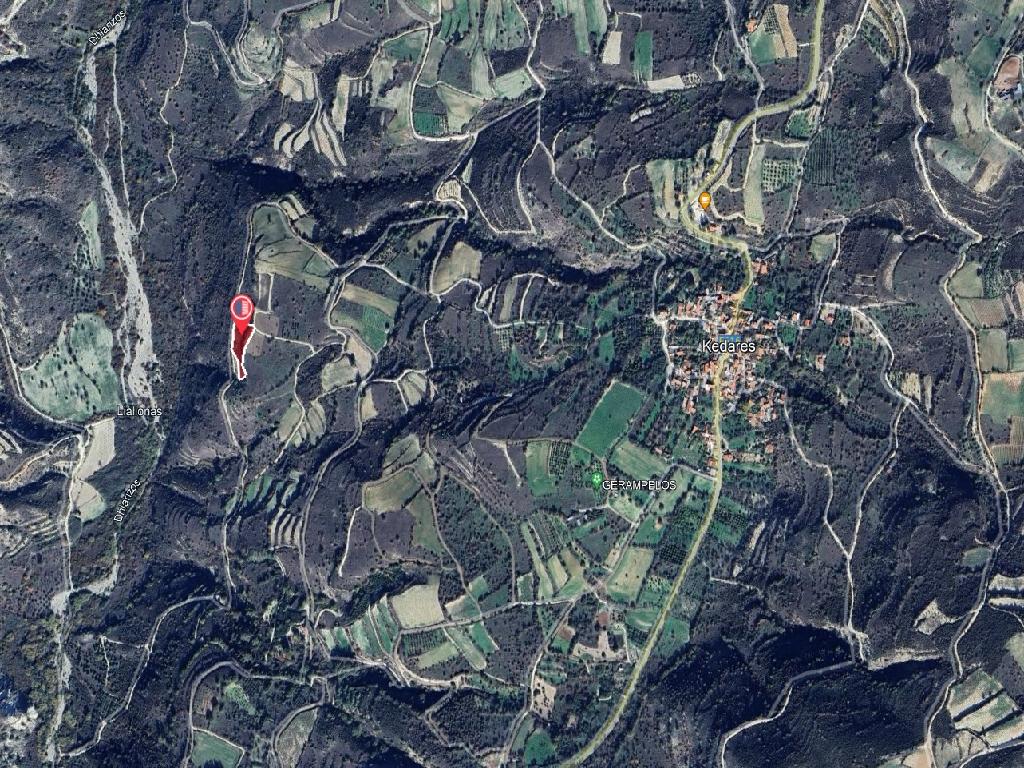 Field-Kedares-PR40449