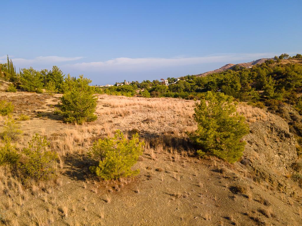 Field-Makounta-PR40630