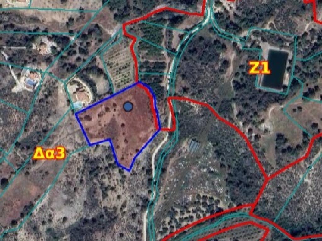 Field-Makounta-PR40630