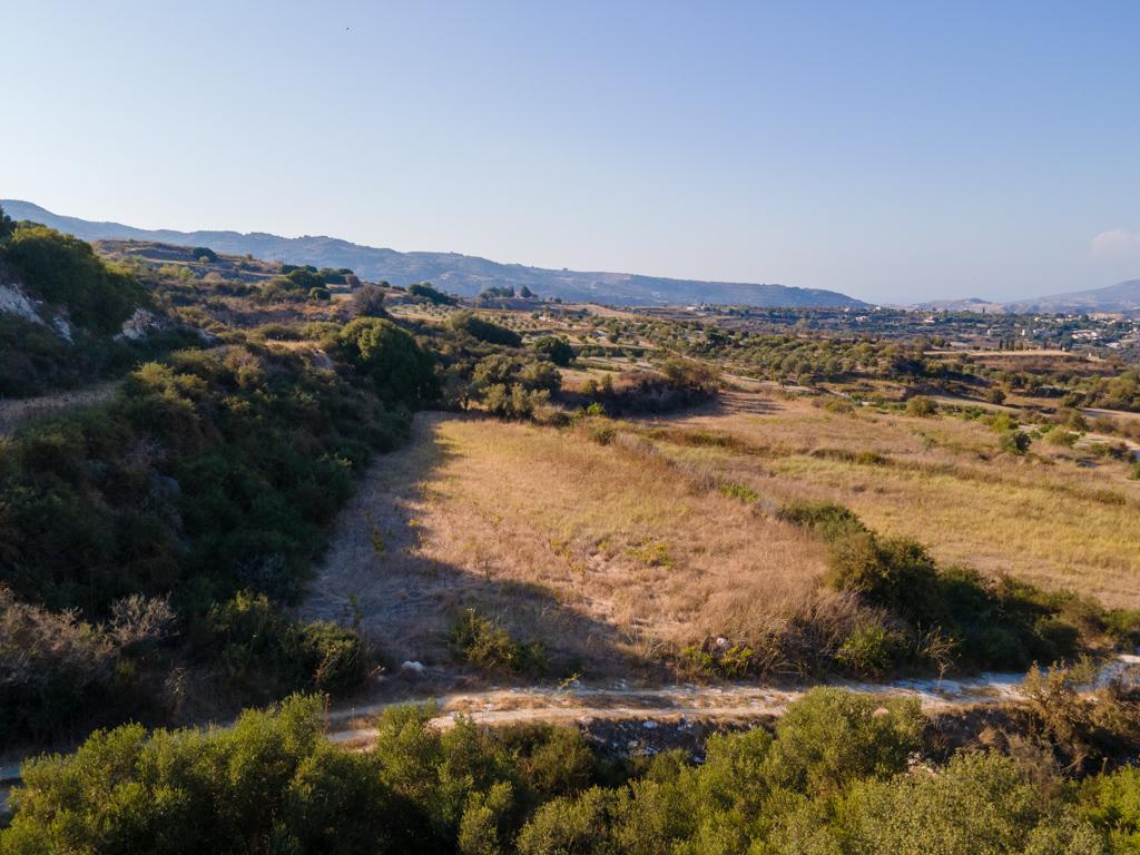 Field-Theletra-PR41029